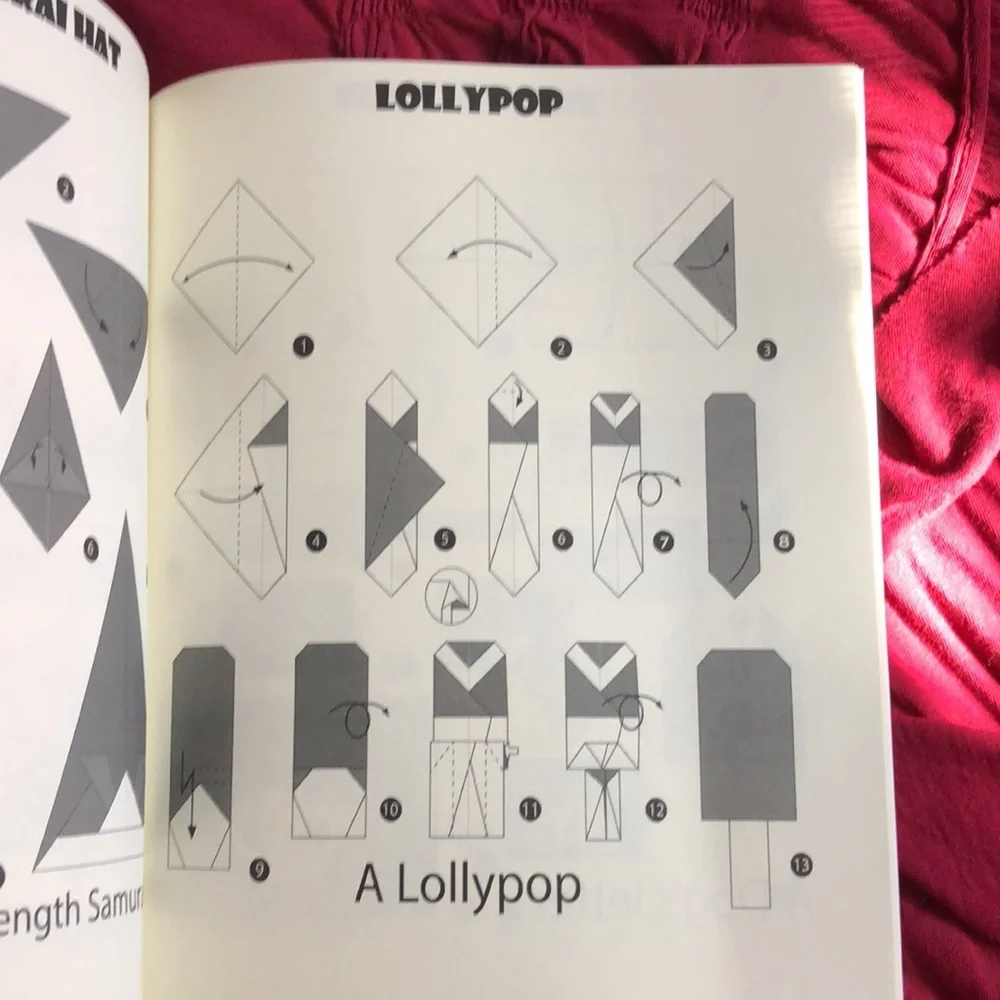🦋2 Origami Books!🦋 - Picture 11 of 11